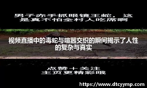 视频直播中的毒蛇与喧嚣交织的瞬间揭示了人性的复杂与真实