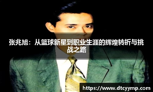 V66体育手机下载